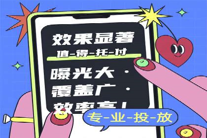 电商平台信息流广告的投放策略与效果评估案例